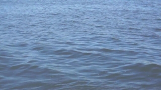 HD Stock Footage, Stock Video, Stock Footage, Video Clip, Motion Graphics