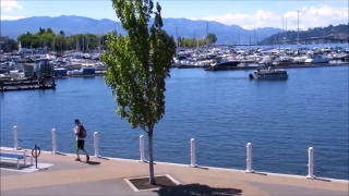 HD Stock Footage, Stock Video, Stock Footage, Video Clip, Motion Graphics