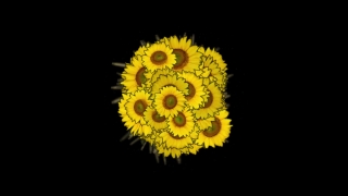 Visual Effects, Stock Video, Stock Footage, Video Clip, Motion Graphics